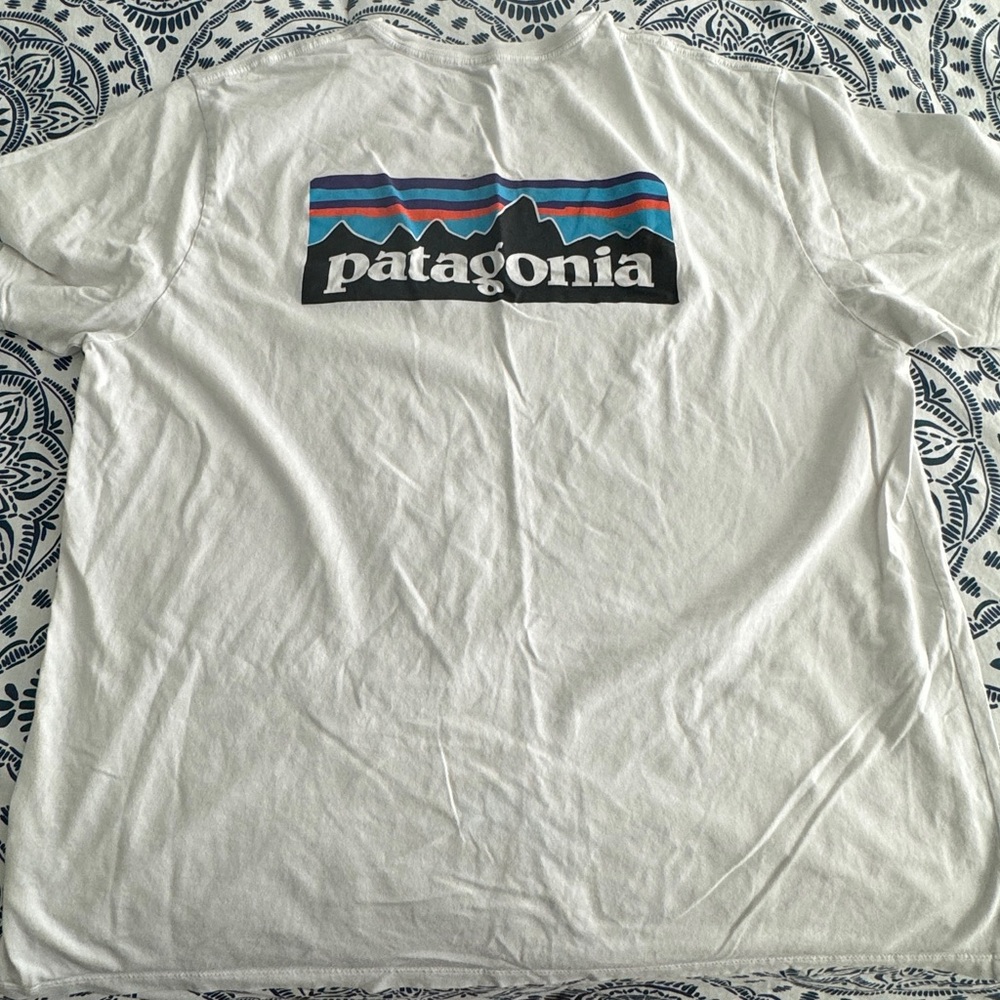 Men’s Patagonia T-Shirt